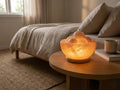 Himalayan Salt Bowl Lamp